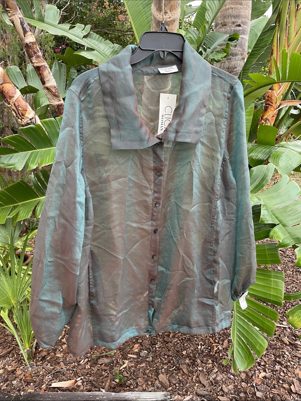 Sheer organza Button-Front Shirt — Teal/Brown